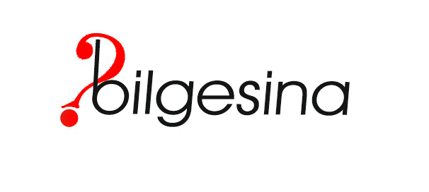 Bilgesina Yayınevi