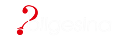 Bilgesina Yayınevi